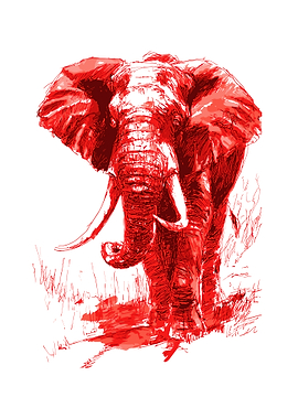 Red Elephant Sketch