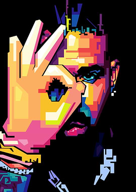 Drake Pop Art