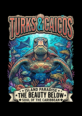 Turks & Caicos Sea Turtle Art