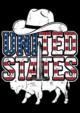 United States Cowboy Hat Buffalo