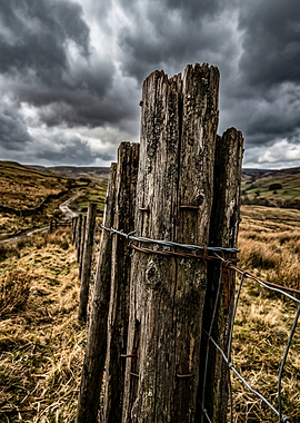 Rustic wooden fence posts in a moody landscape
