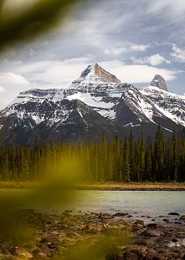 Snow-capped mountains and forest by a river