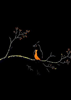 Bird on a branch at night