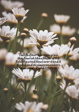 Life is like a flower