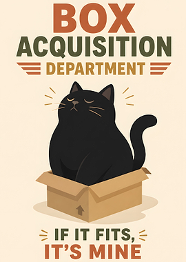 Cat in a Box Department