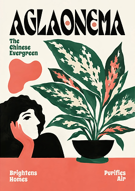 Aglaonema Plant Poster