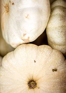Close-up of White Pattypan Squash