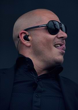 Pitbull wearing sunglasses and a suit