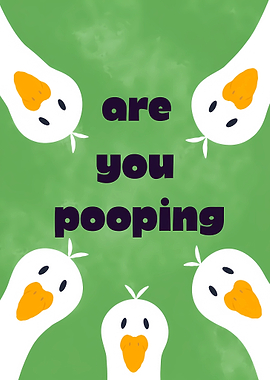 Funny Goose Meme