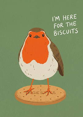 Robin on a Digestive Biscuit