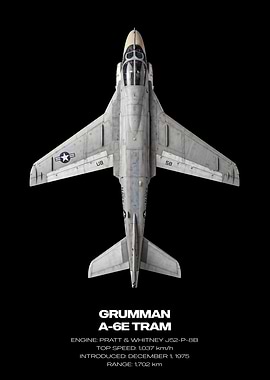Grumman A-6E TRAM Aircraft