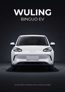 Wuling Bingguo EV Front View