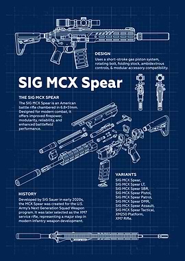 SIG MCX Spear