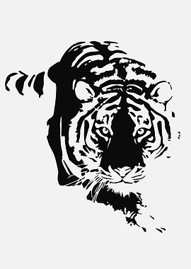 Black and White Tiger Illustration