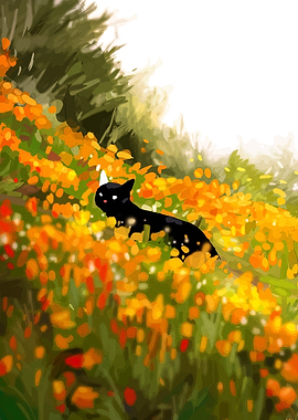 Black Cat in a Field of Orange Flowers