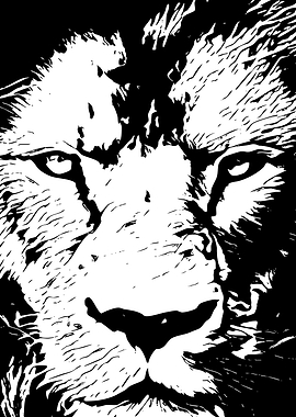 Close-up of a Lion's Face