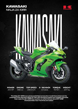 Kawasaki Ninja ZX-10RR Motorcycle