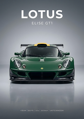 Lotus Elise GT1 Race Car