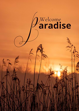 Welcome Paradise Sunset Reeds