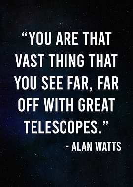 Alan Watts quote YOU ARE IT