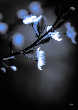 Crystal Blue