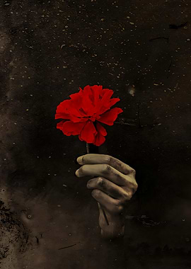 Hand holding a red flower