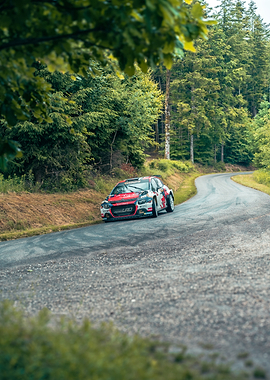 Rally Car on a Forest Road