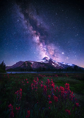 Milky Way over Mountain and Wildflowers