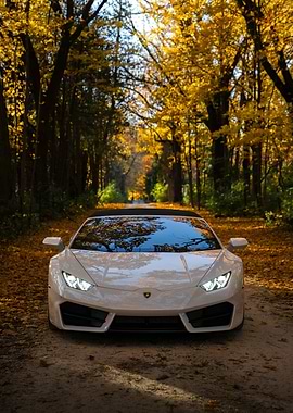 White Lamborghini Convertible in Autumn Forest
