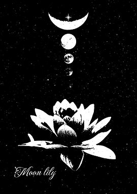 Moon Lily (Celestial Art)