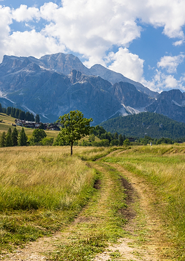 Mountain Landscape with Winding Path