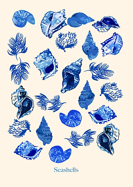 Blue Seashells and Coral Illustration
