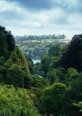 Lush Green Valley with Distant Water