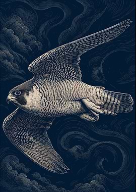 Peregrine Falcon in Flight
