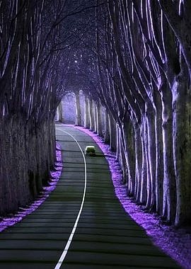 Enchanted Forest Road with Car