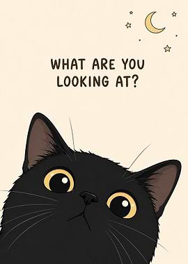Black Cat Asks 'What Are You Looking At?'