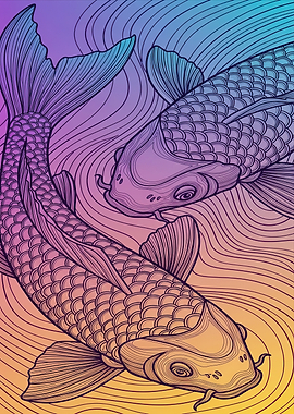 Two Koi Fish in Gradient Water