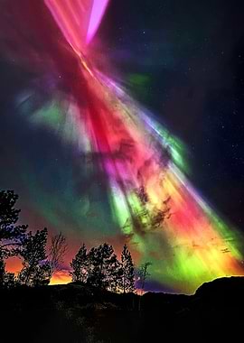 Vibrant Aurora Borealis Over Silhouetted Trees