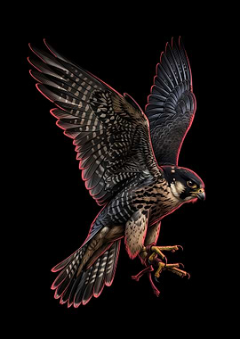 Peregrine Falcon in Flight