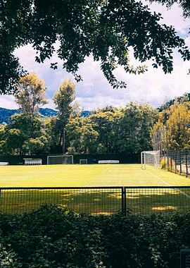 Outdoor Soccer Field with Trees