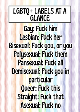 Funny Fucks LGBTQ+ Labels Explained