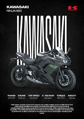 Kawasaki Ninja 650 Motorcycle