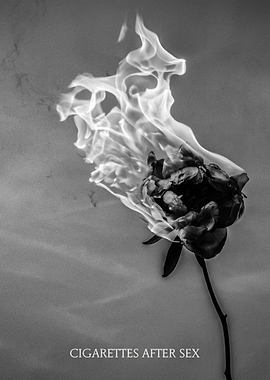 Burning Rose with Text