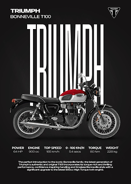 Triumph Bonneville T100 Motorcycle