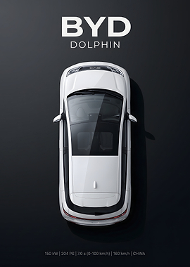 BYD Dolphin car