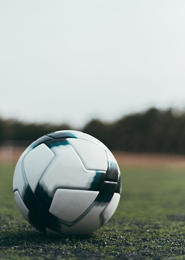 Soccer ball on a field