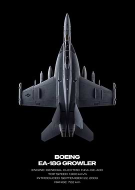 Boeing EA-18G Growler Top View