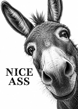 Donkey with 'Nice Ass' text