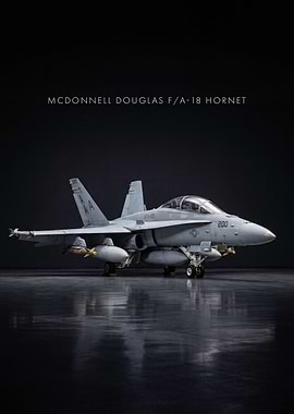 McDonnell Douglas F/A-18 Hornet Fighter Jet