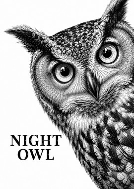 Night Owl Illustration